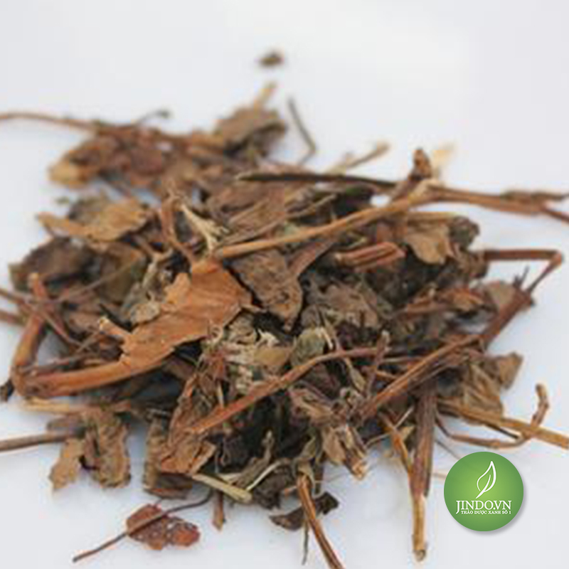 Cây diếp cá khô (Ngư tinh thảo) 1KG - VT241