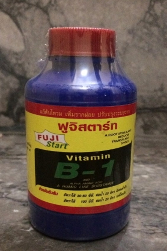Vitamin B1 Thái Lan - Hàng chuẩn
