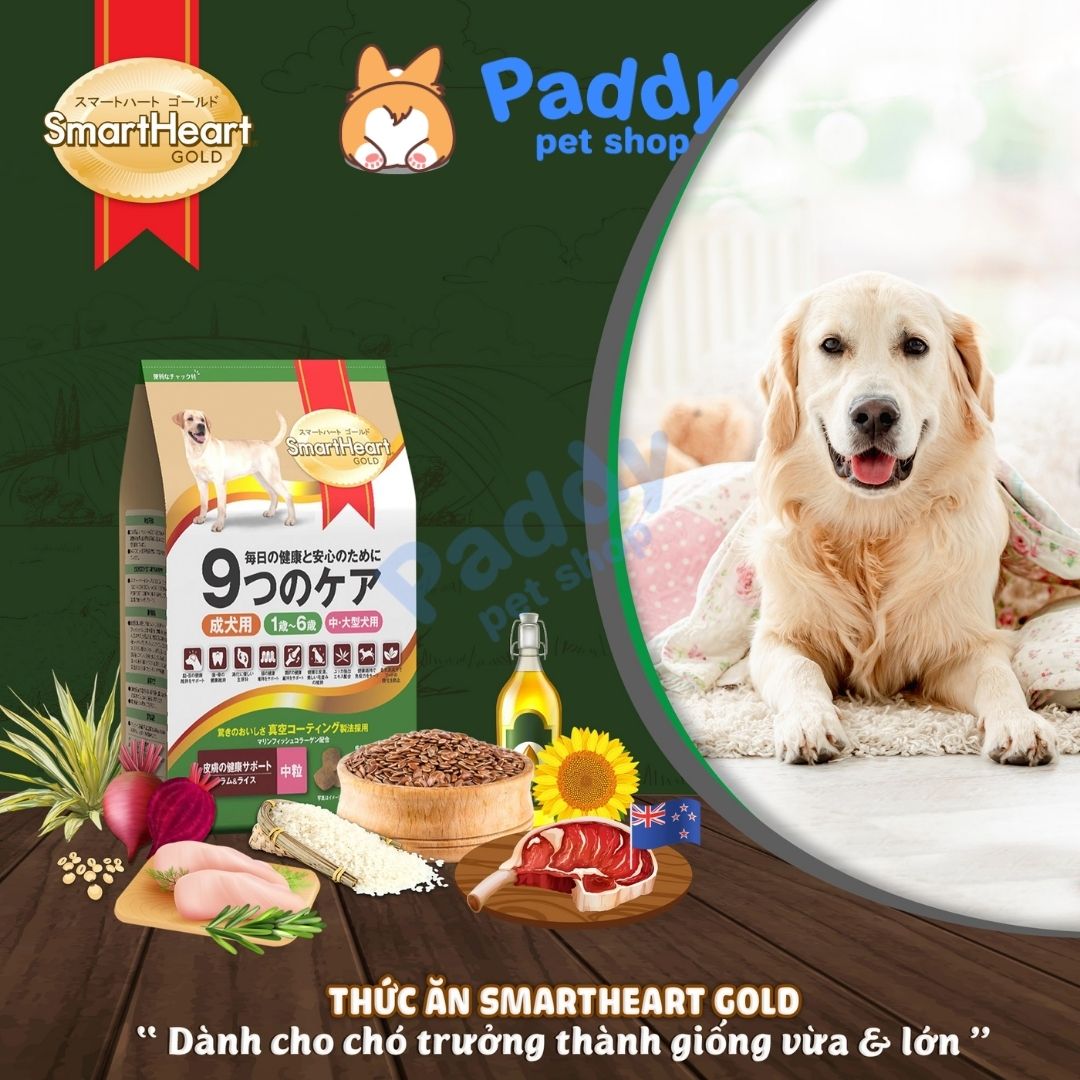 Hạt Cho Chó SmartHeart Gold Cao Cấp Vị Cừu & Gạo