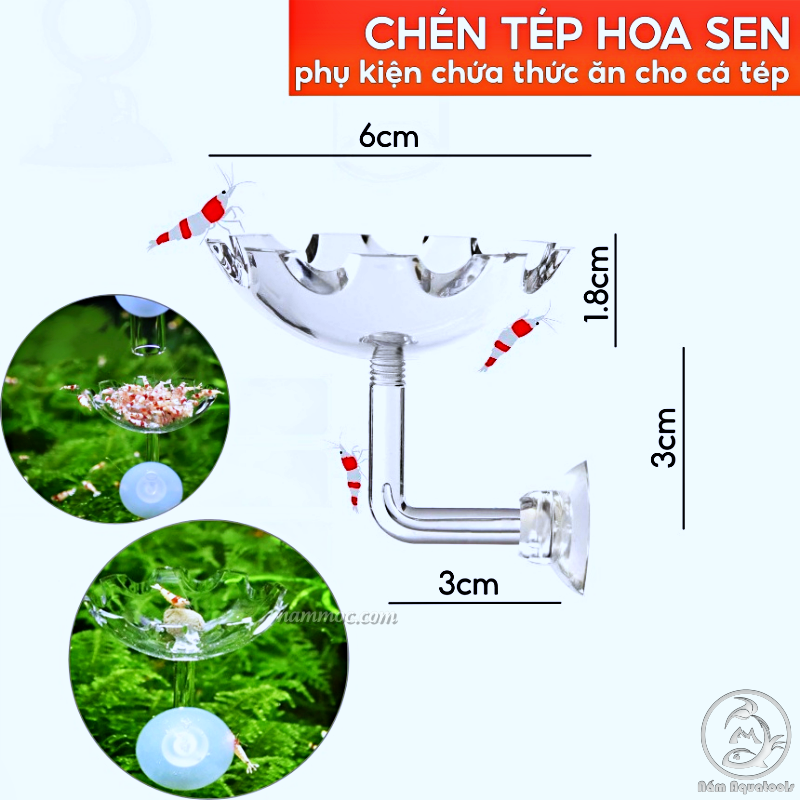 Chén Tép Acrylic - Chén Đựng Thức Ăn Cá Tép Cảnh