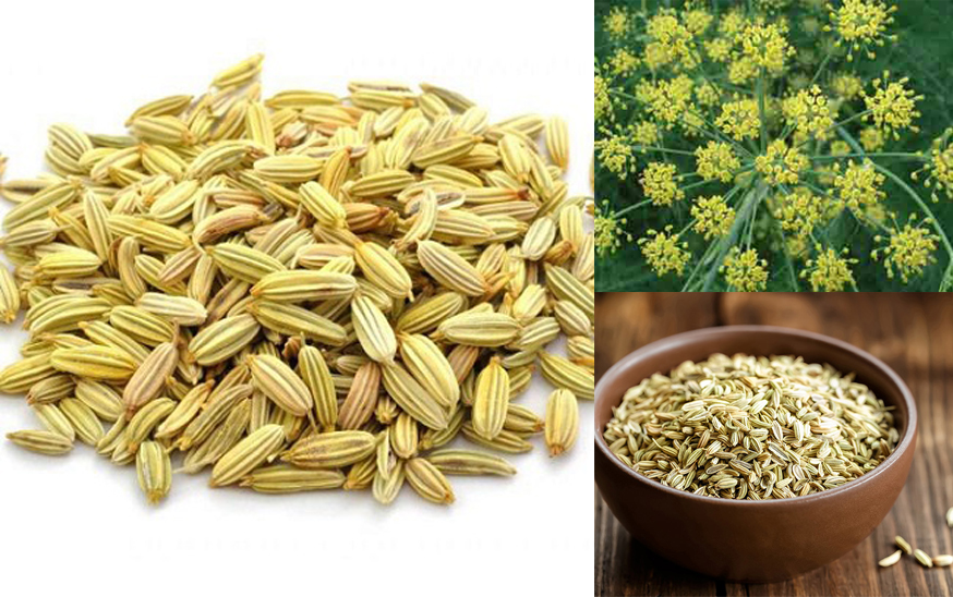 Tiểu hồi Ông Chà Và 110gram (Túi)