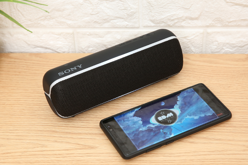 Loa Bluetooth Sony Extra Bass SRS-XB22 ( Like New )