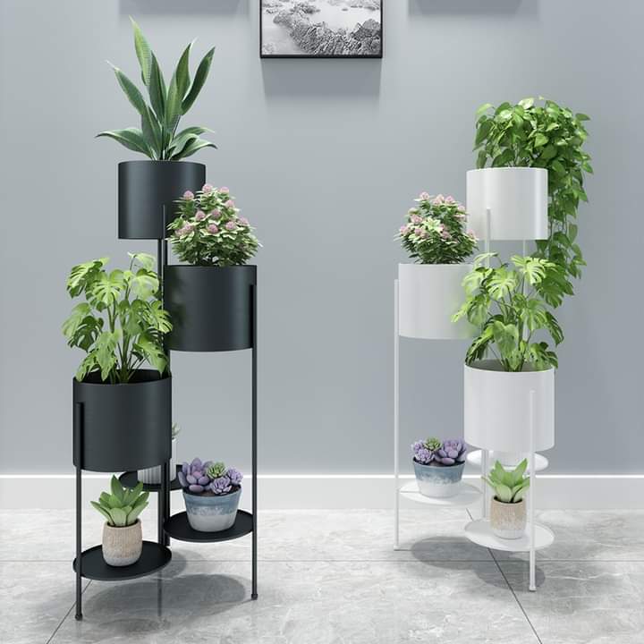 Kệ trang trí tiểu cảnh mini trong nhà