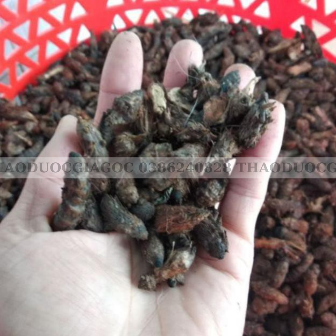 Củ gấu (cỏ gấu khô) 500gr