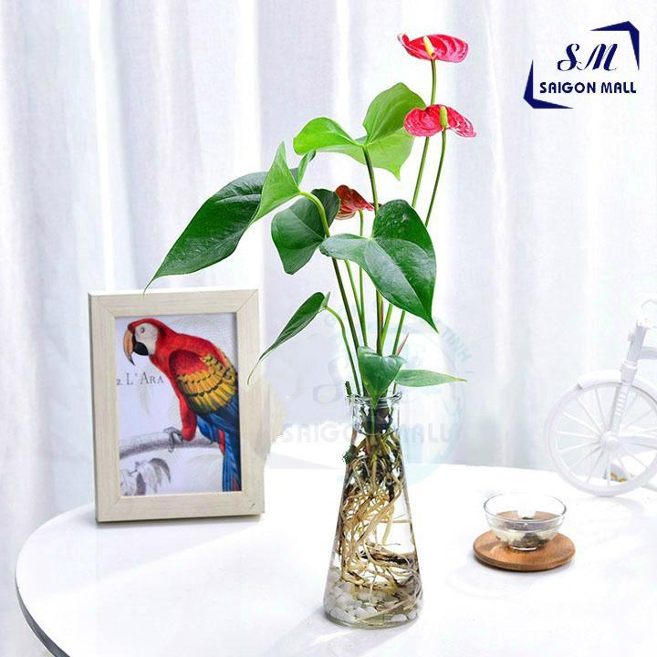 Bình Bông Lọ Hoa Thủy Tinh 1 Cành Tam Giác Tròn + Tặng kèm dây dừa trang trí. Cam kết hàng uy tín chất lượng cao.