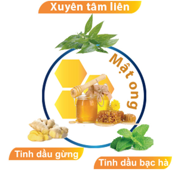 Xịt họng keo ong CovBee