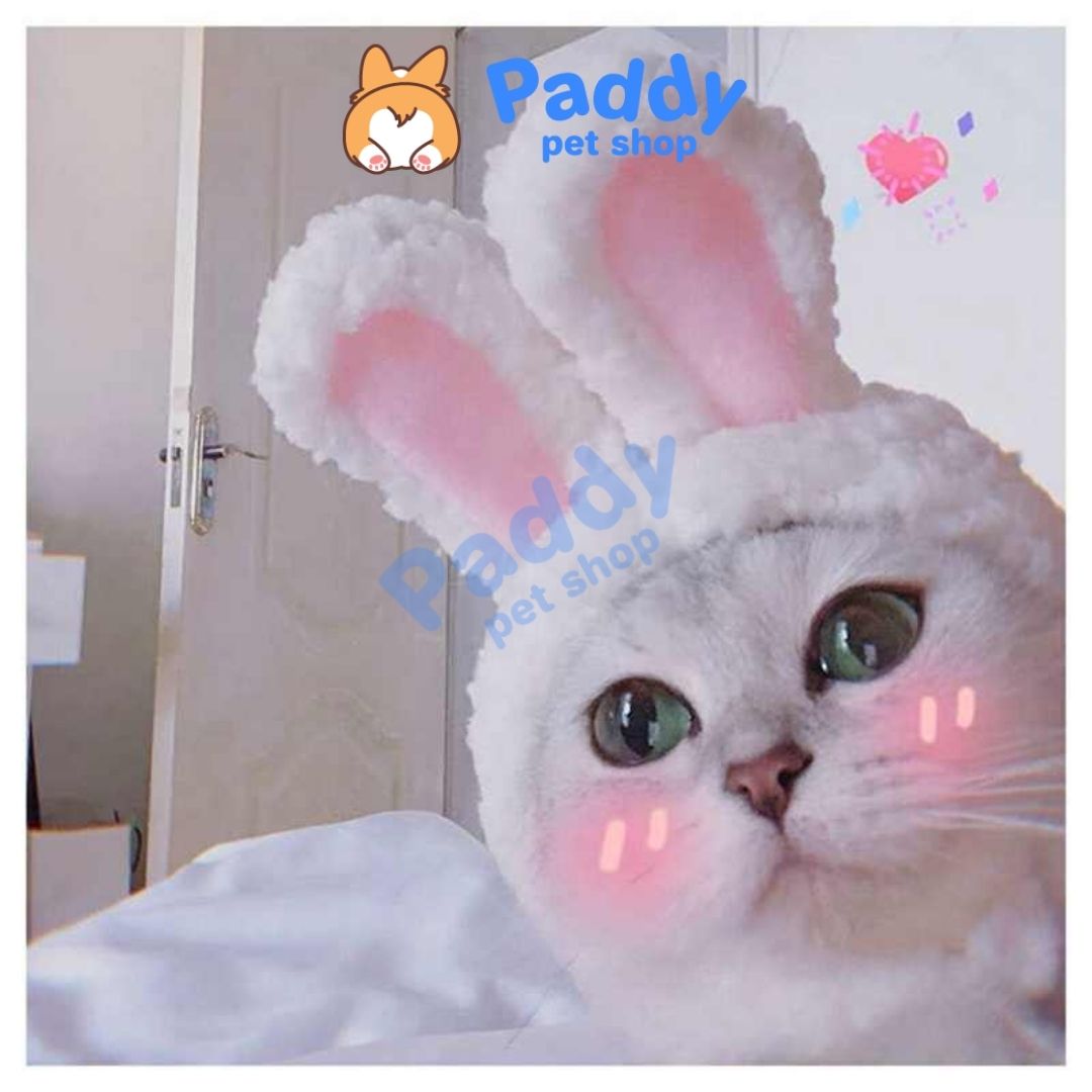 Nón Vải Dễ Thương Cho Chó Mèo