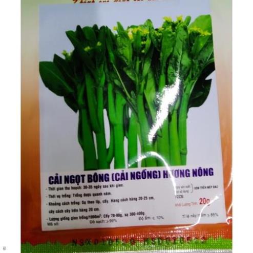 Giống Cải Ngồng (Cải Ngọt Bông) - Gói 20 Gram