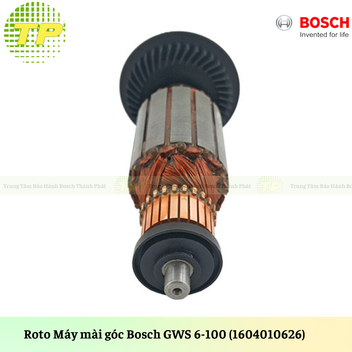 GWS 6-100 (Roto)