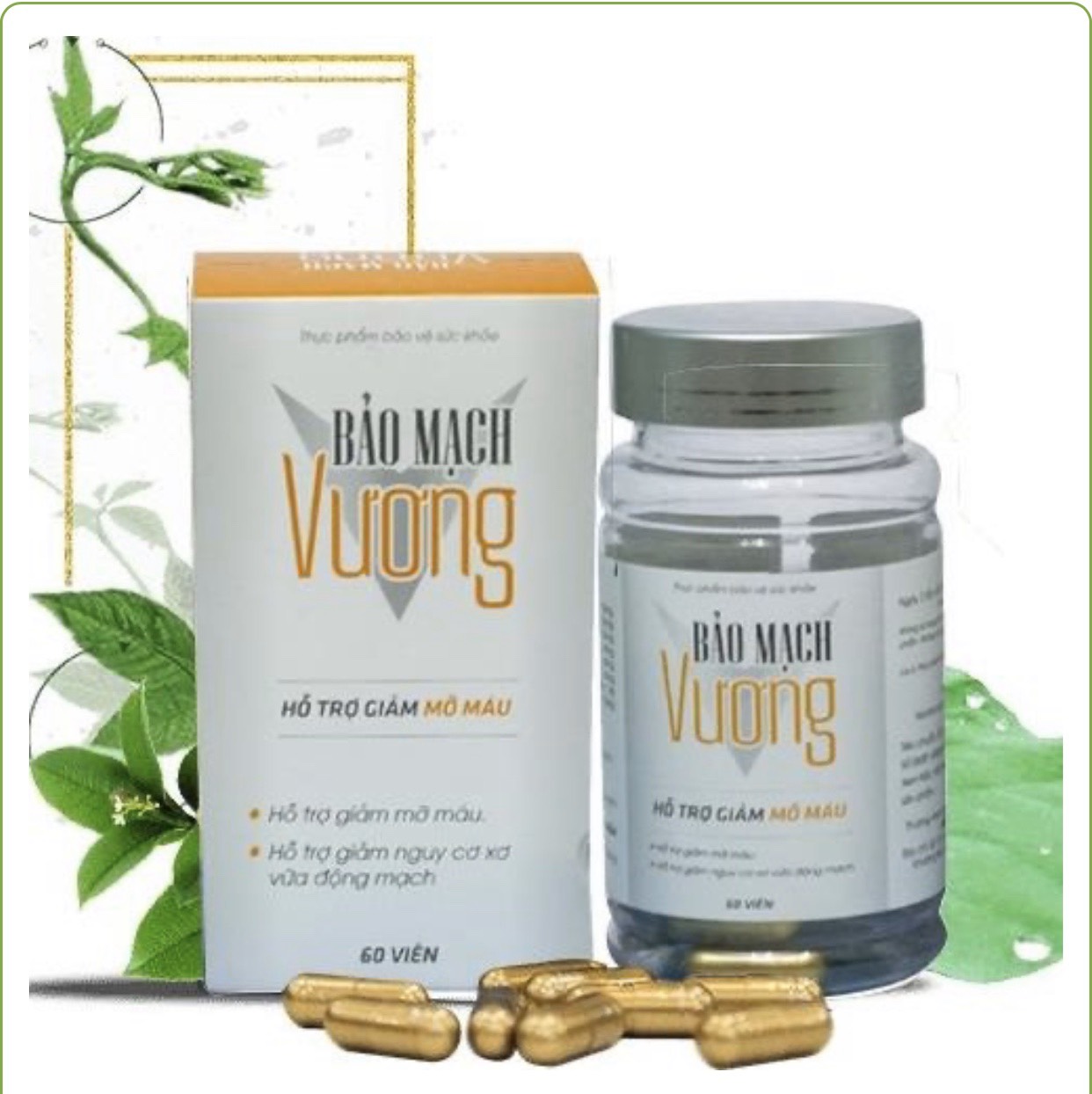 [HCM]Bảo Mạch Vương- Hỗ Trợ Giảm Mỡ Máu Xơ vữa động mạch hiệu quả- Khắc tinh Mỡ máu cao Men gan cao Gan nhiễm mỡ