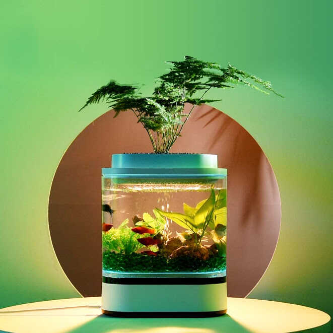 Bể cá thủy sinh thông minh Xiaomi HFJH Mini