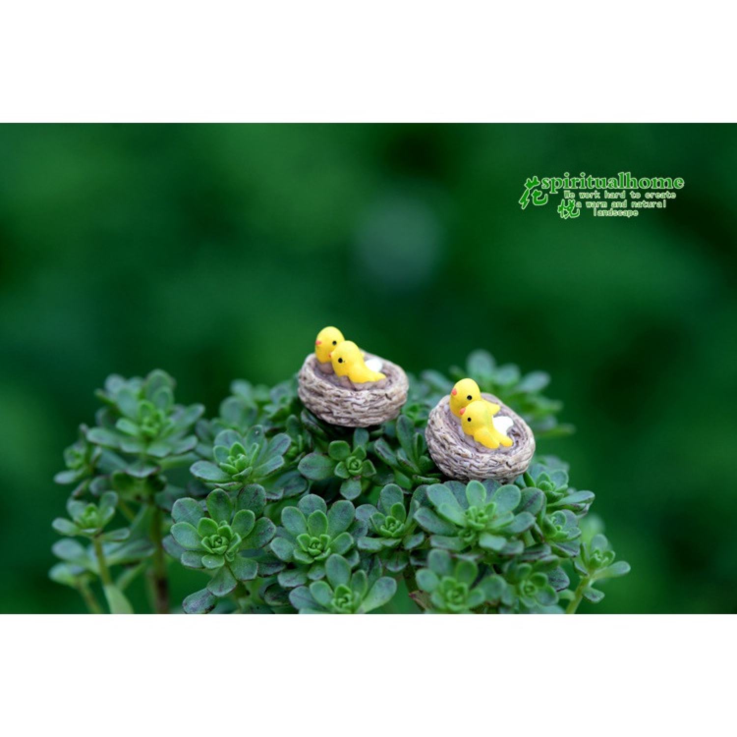 Tổ chim mini trang trí tiểu cảnh, sen đá, terrarium