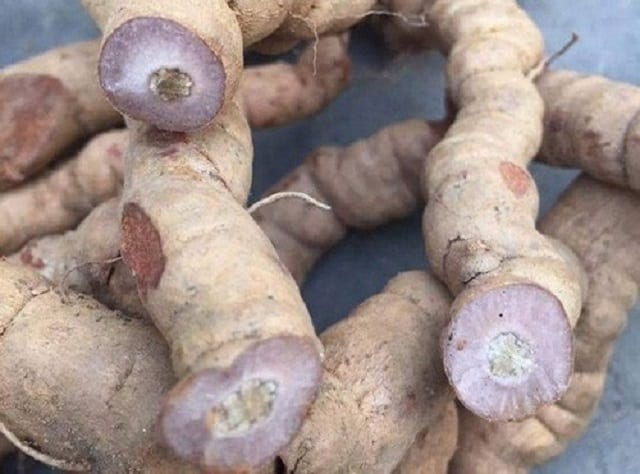Ba kích tím khô, loại to đã rút lõi