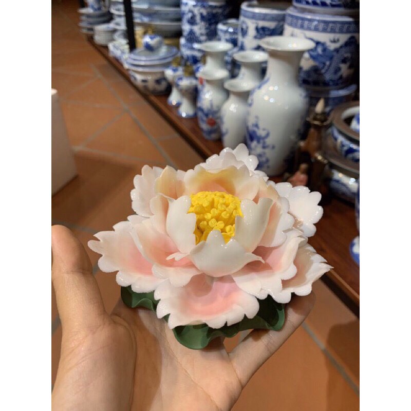 Hoa sen sứ thả bát Minh Đường Tụ Thủy