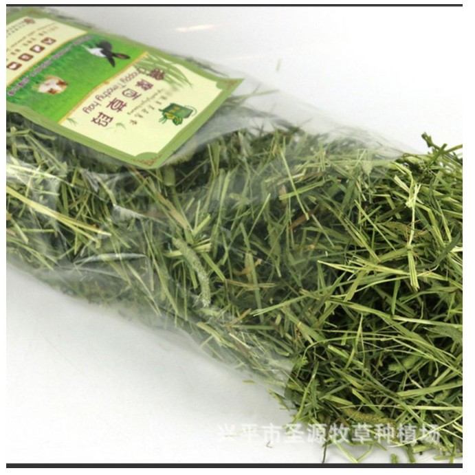 Bag 100 gr grass Timothy for rabbit, beetle peek, Guinea…