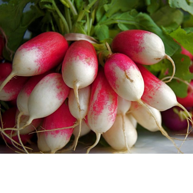 Hạt Giống Củ Cải Trắng Hồng (1gr)