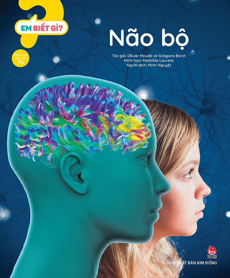 Kim đồng - em biết gì ? - não bộ