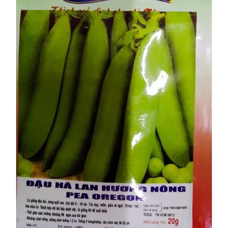 HẠT ĐẬU HÀ LAN - GÓI 20 GRAM