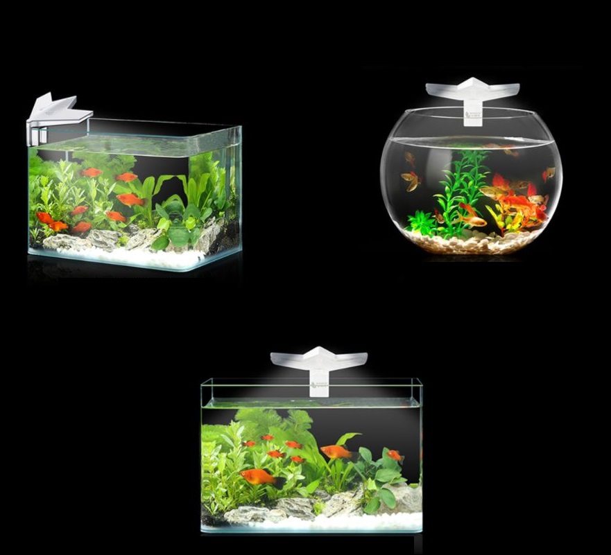 Đèn kẹp mini cánh hoa cho bể cá nhỏ, bể tròn