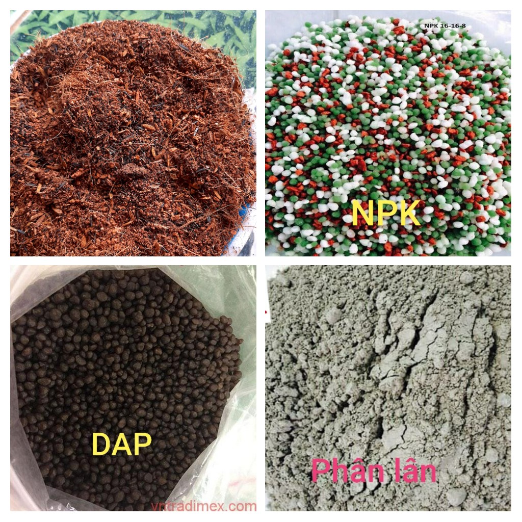 XƠ DỪA+TRẤU+PHÂN BÒ TRỘN SẴN TRỒNG CÂY(Theo tỉ lệ chuẩn)