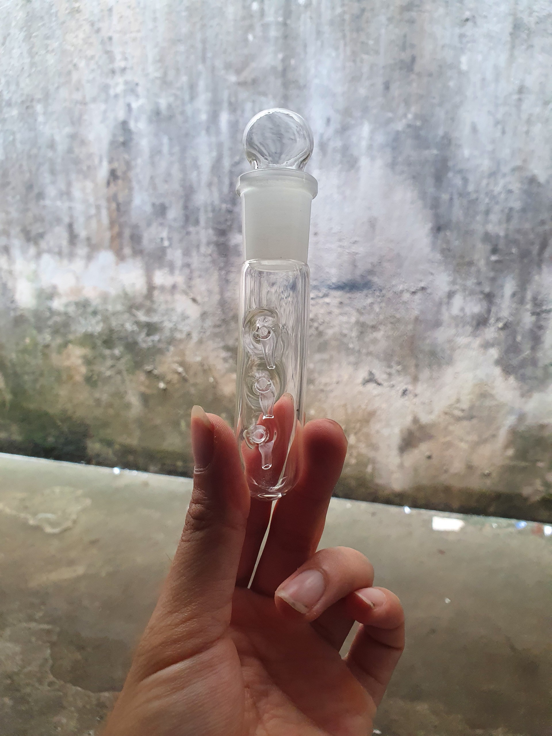 Bẫy sán cho bể cá, bể tép cảnh