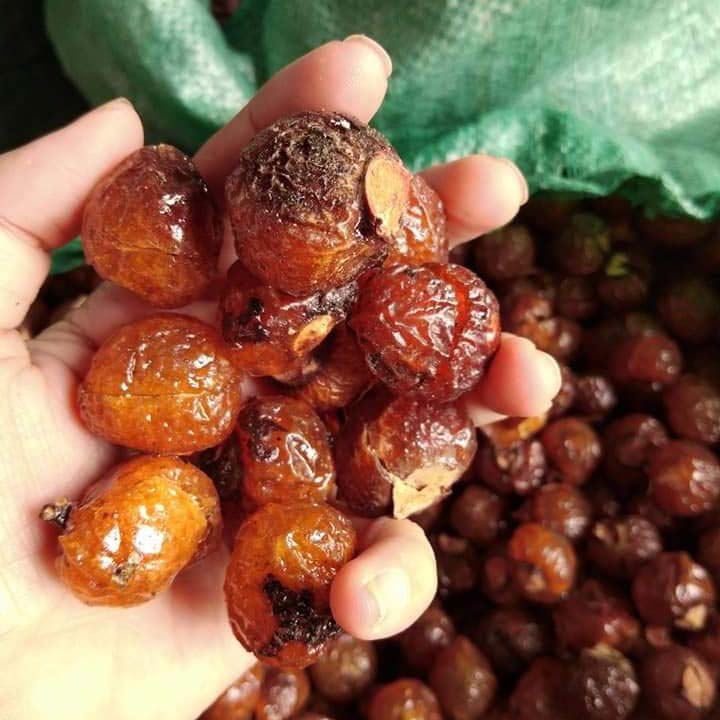 1 kg Bột Bồ Hòn
