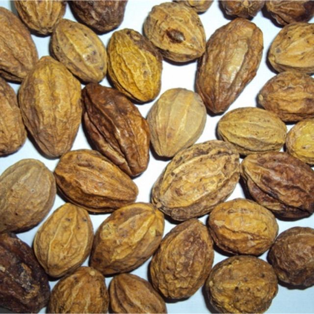200g QUẢ KHA TỬ KHÔ