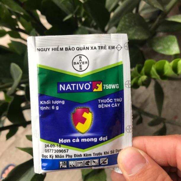 Nativo 10 gram thuốc diệt nấm bệnh cây trồng hãng bayer đức