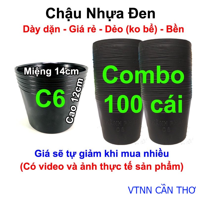 100 chậu nhựa trồng hoa, cây cảnh c6