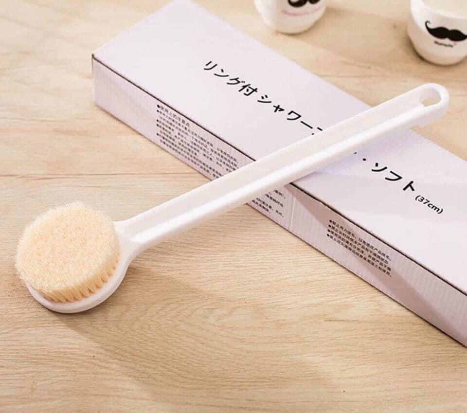 CÂY CỌ LƯNG MUJI