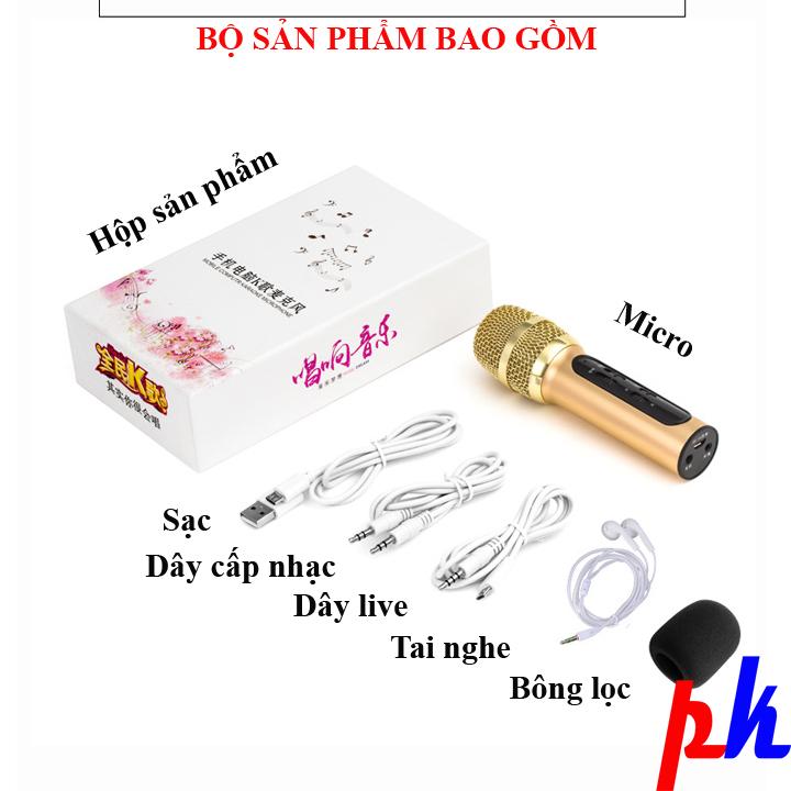 Micro karaoke live stream C11