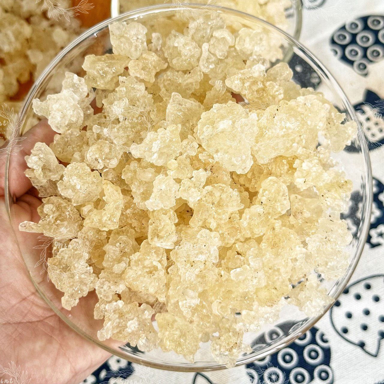 Tuyết Yến Vân Nam (Tổ Yến Thực Vật – Cây Da Yến Thảo) - Túi 500gr