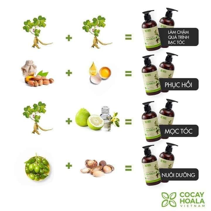 Combo Dầu gội phủ bạc Lich5 + Dầu gội đen tóc hà thủ ô [cặp đôi hoàn hảo cho ng tóc bạc]