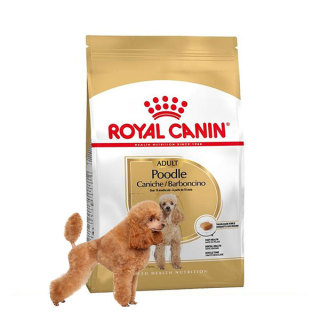 Thức ăn hạt cho chó Poodle - Royal Canin Poodle Adult thumbnail