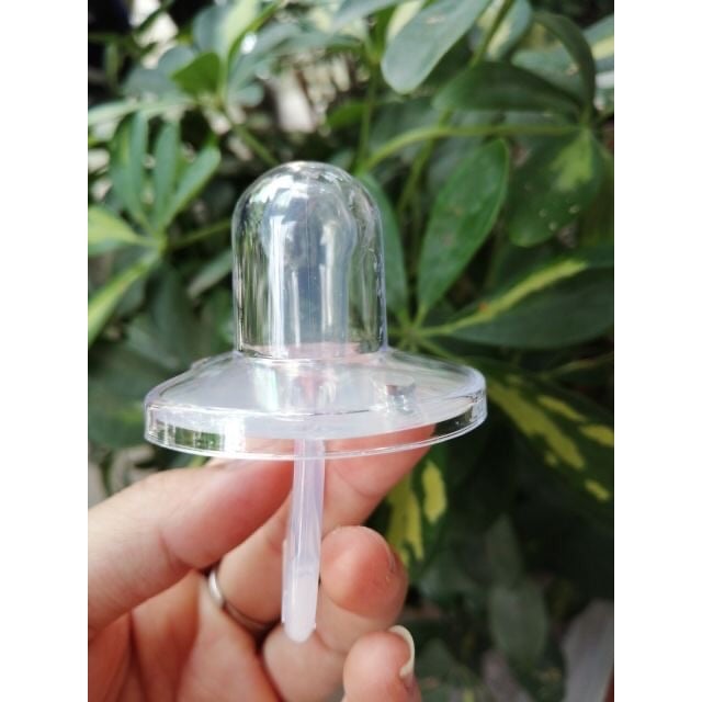 Núm ti ngậm Cacara cho bé siêu mềm