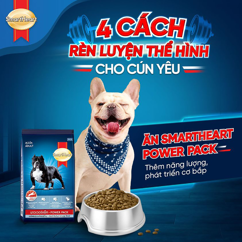 Thức ăn Smart Heart Power Pack Puppy 1kg Dành cho chó