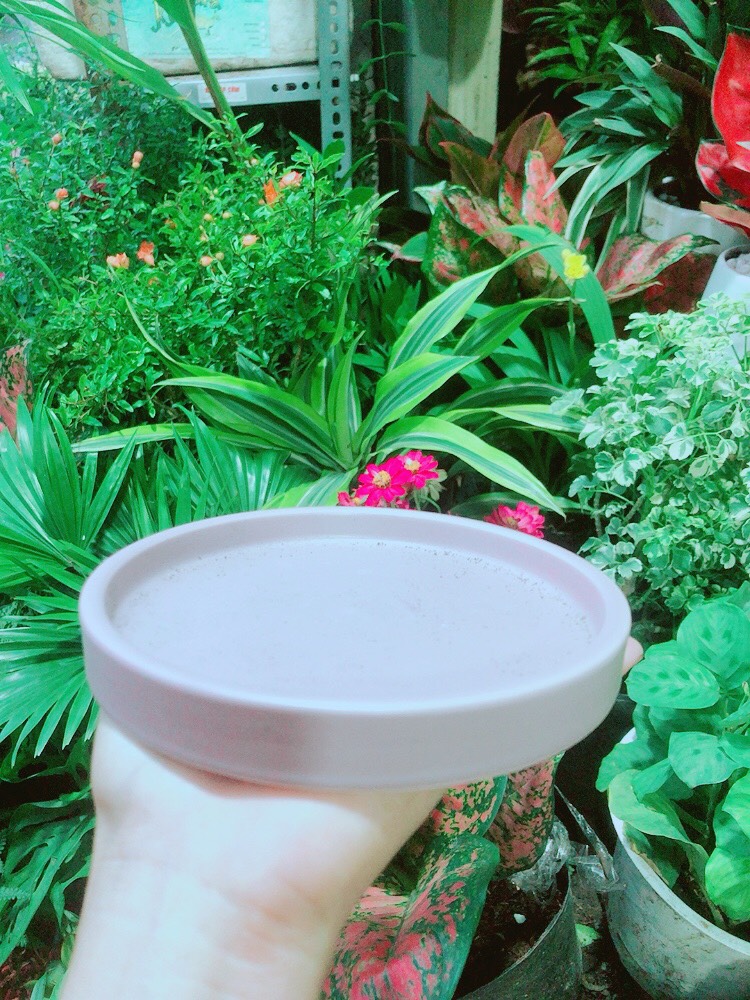 Đĩa Lót Chậu (đường kính 14cm)