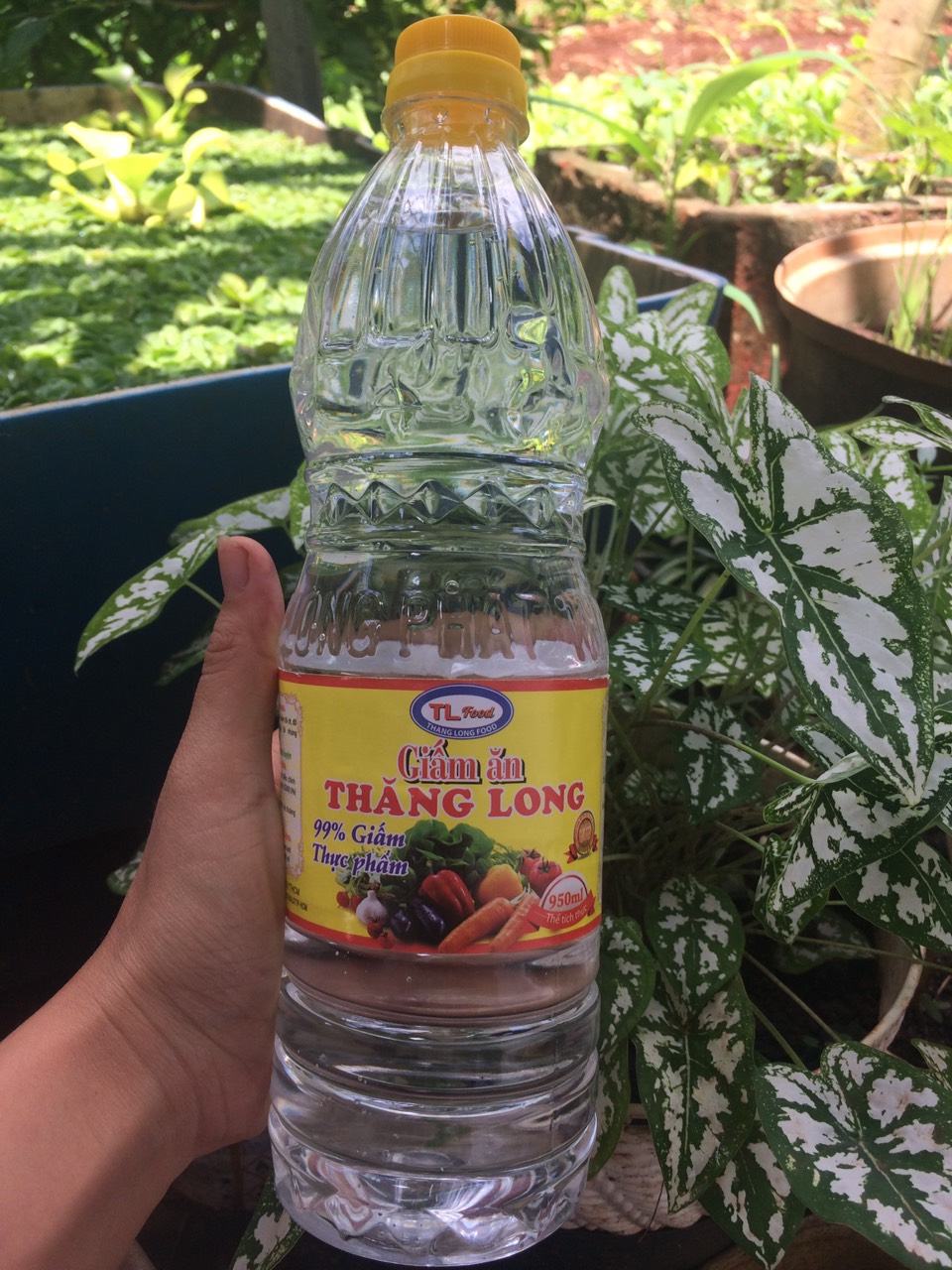 Giấm ăn Thăng Long chai 950ml. Date 06.2022
