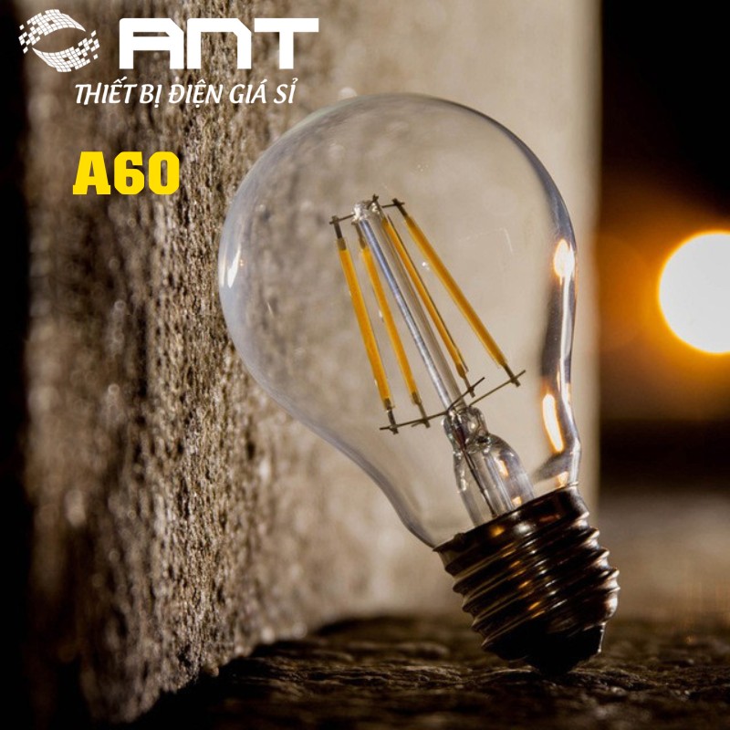(Combo 10B) Edison Led Filament Bulb A60 4W E27