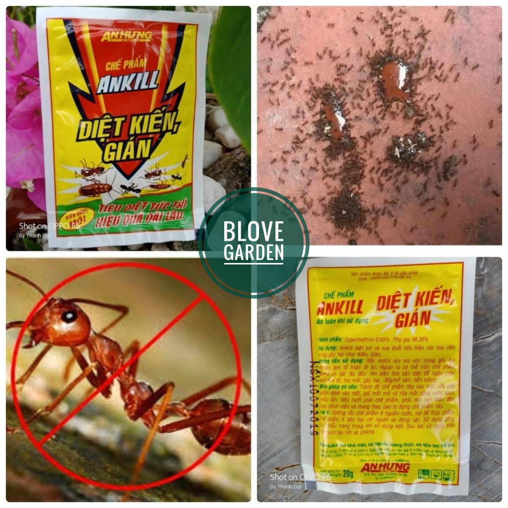 combo 2 gói Thuốc diệt kiến, gián gói dạng bột (Gói 20gr)