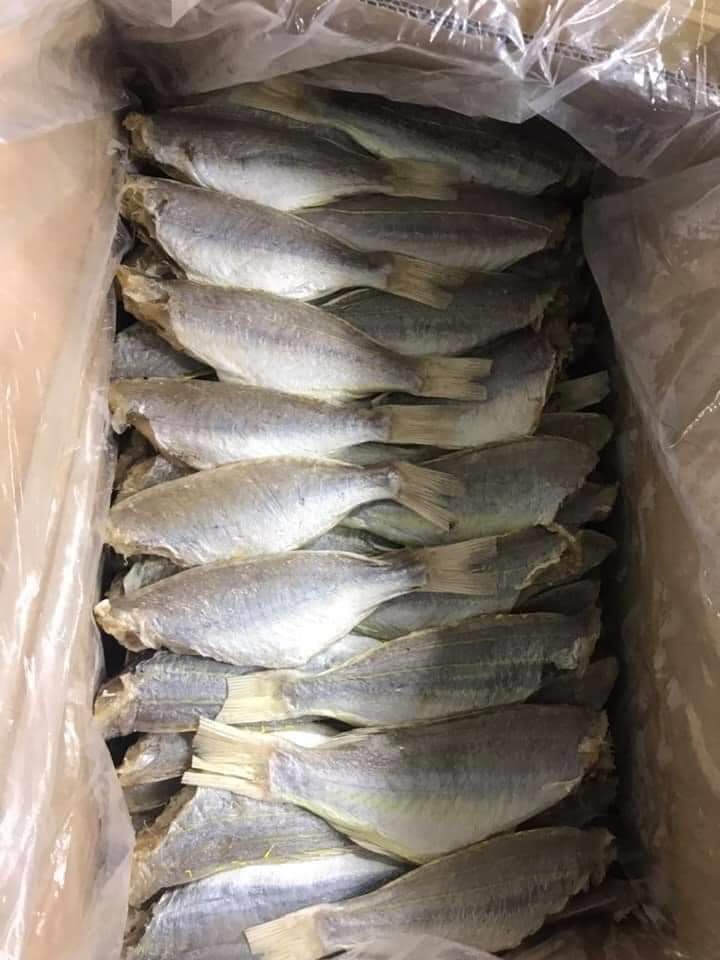 Khô cá phèn hồng mặn-ngon ngon tốn cơm- 500gr