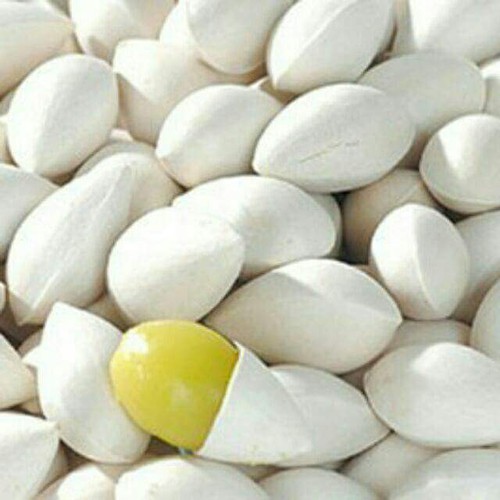 [HCM]Bạch quả túi 1kg- loại 1