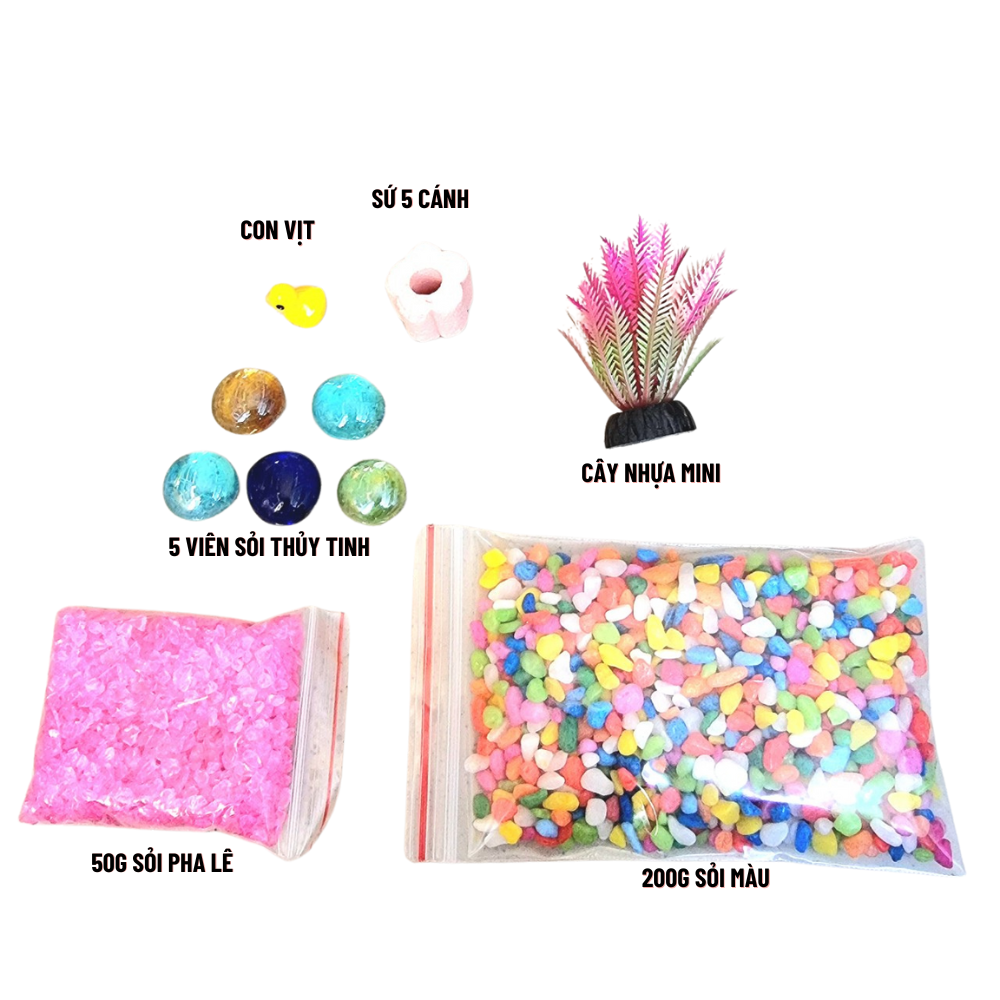 Bộ trang trí bể cá mini SỎI PHA LÊ cho bể cá mini dưới 15cm