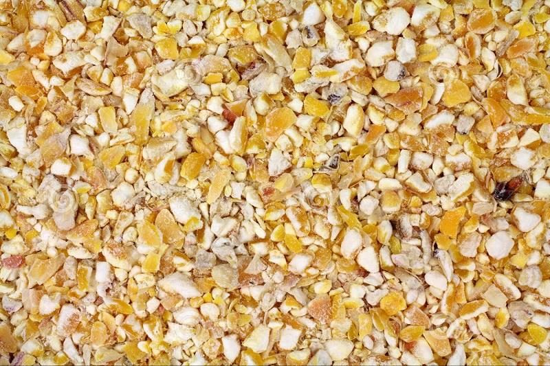 Túi 100 gr ngô ( bắp ) nghiền cho hamster , gà đá , chim , sóc ...