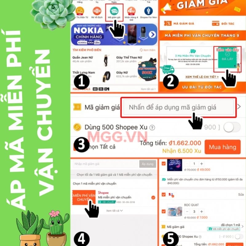 Phân tan chậm vàng (100g) - Phân bón sen đá tốt nhất