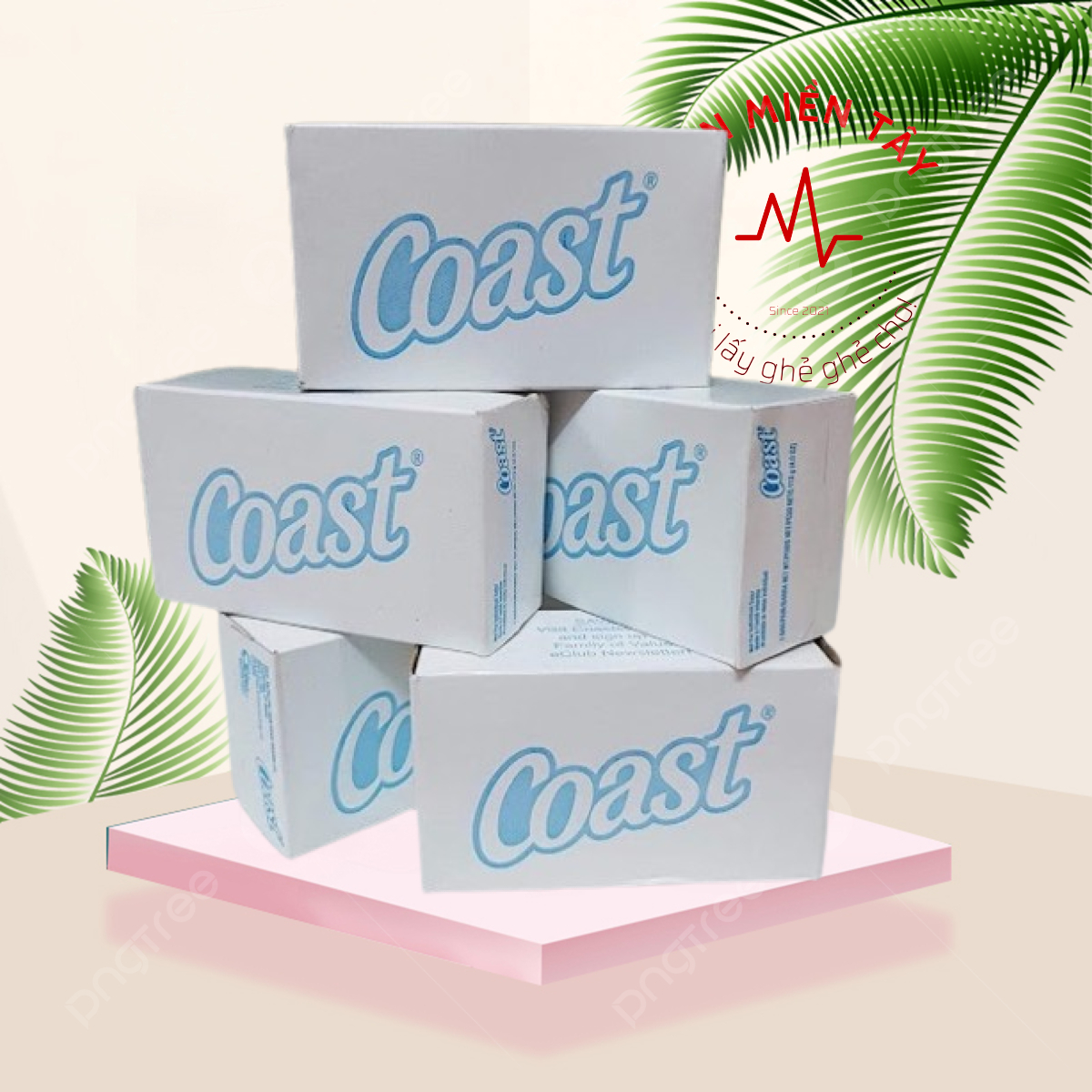 Xà bông cục coast 113gr