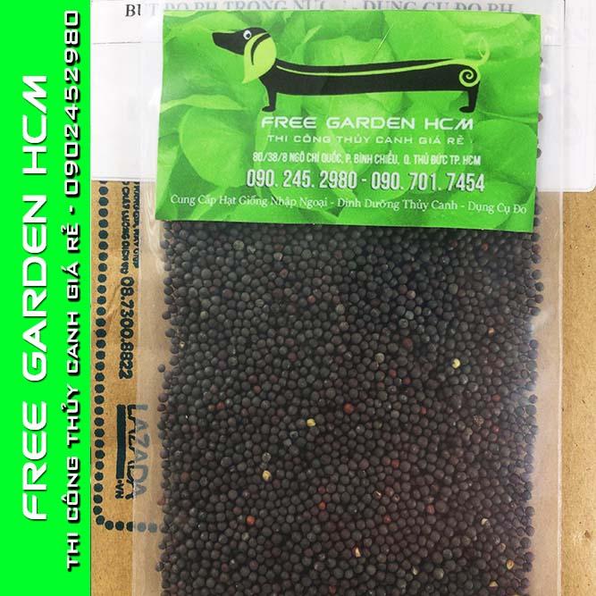 COMBO 100 HẠT GIỐNG CẢI JOI CHOI - JOHNNYSEEDS