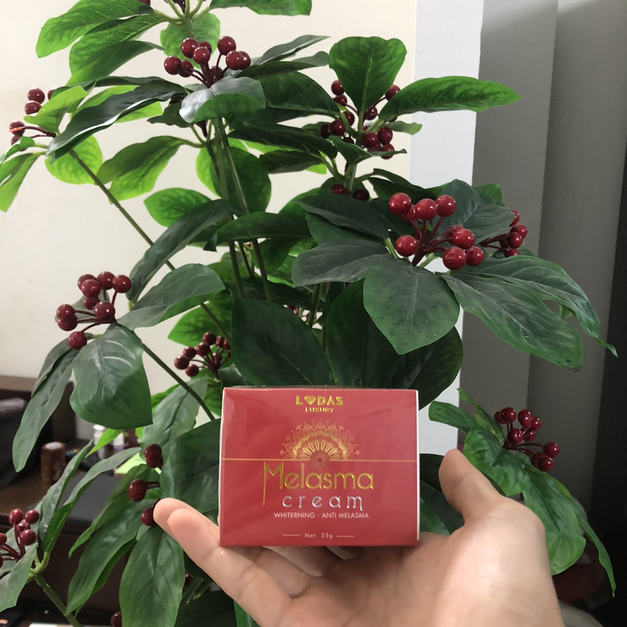 Cao nám hồng hoa Đan Thy