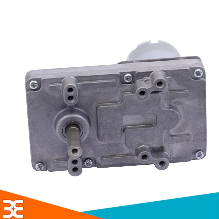 Động Cơ Giảm Tốc Động Cơ Phát Điện DS400 ( 6 - 24VDC )