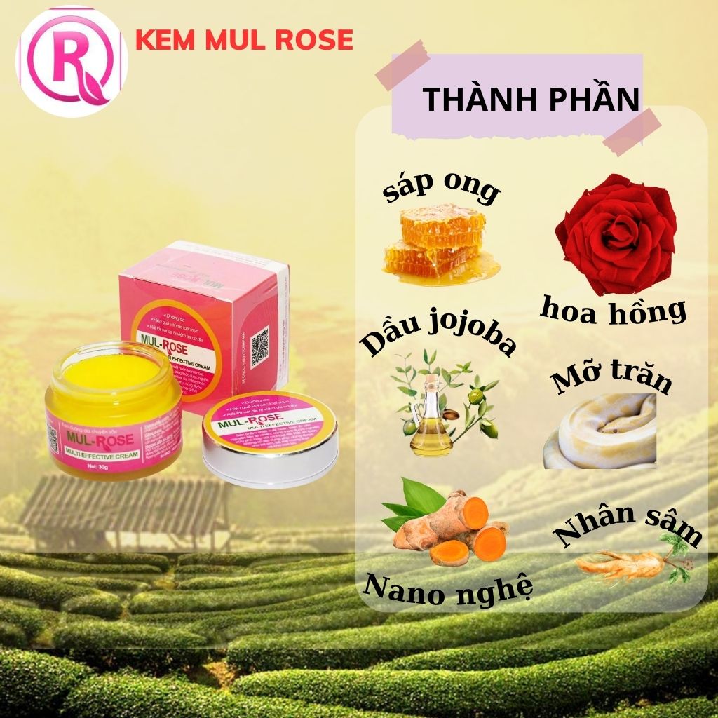 Kem Nghệ Đa Năng Mulrose 30g
